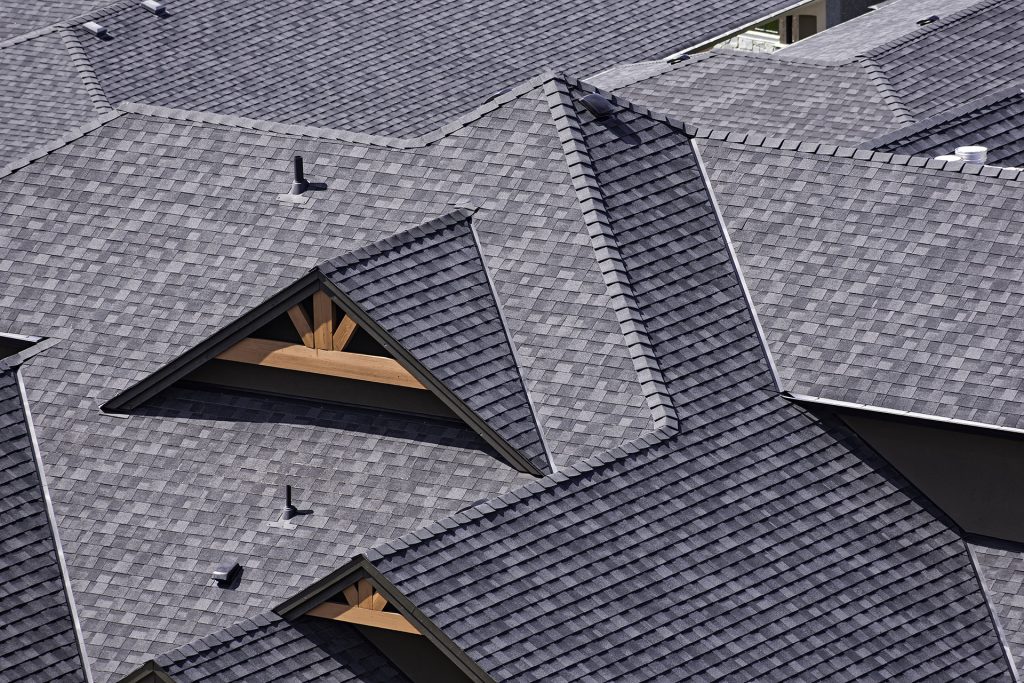Shingle roof showcasing
