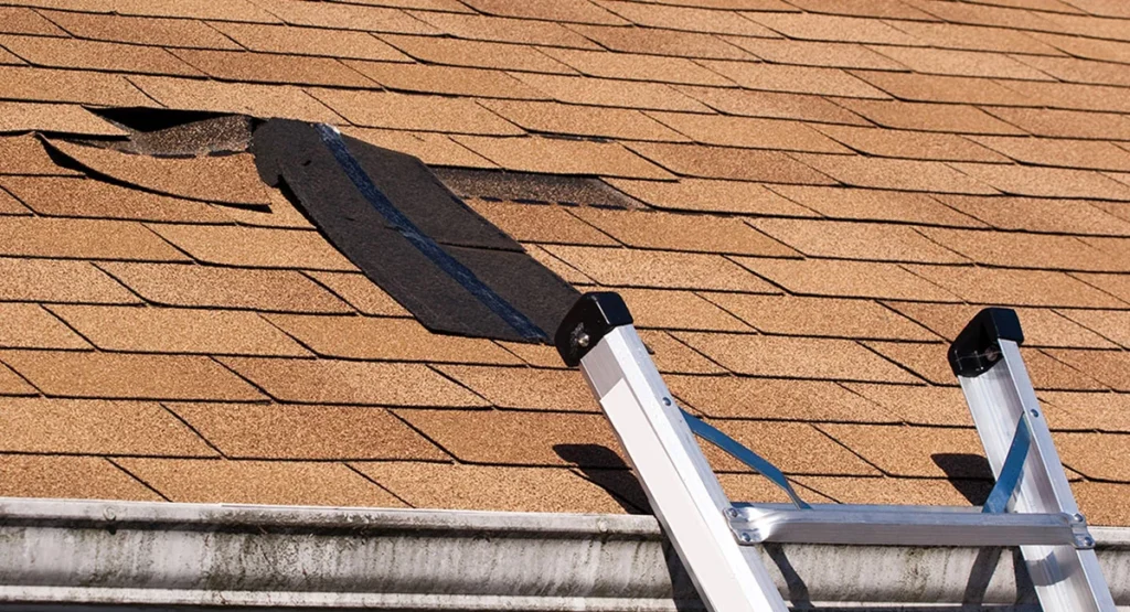 Common Roof Leaks